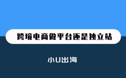 做跨境电商选独立站还是平台？
