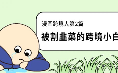 跨境人漫画第二篇：小白被割韭菜的故事