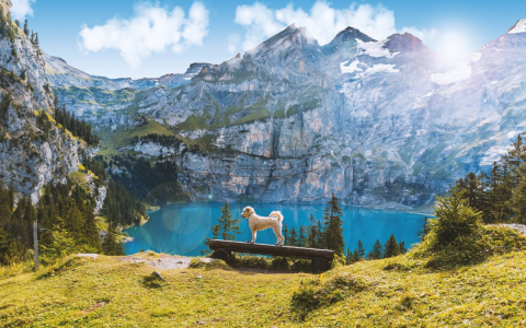 跨境电商欧洲市场洞察之瑞士篇