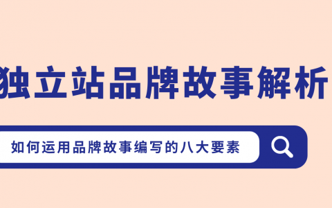 独立站品牌故事真实案例解读