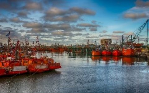 2022，国际物流发展趋势如何？