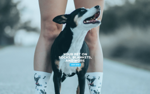 30天卖出400万美金的袜子独立站是怎样炼成的？