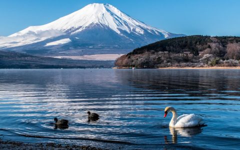 日本跨境干货| 别混淆！“离岛”含义、位置、费用全攻略来了