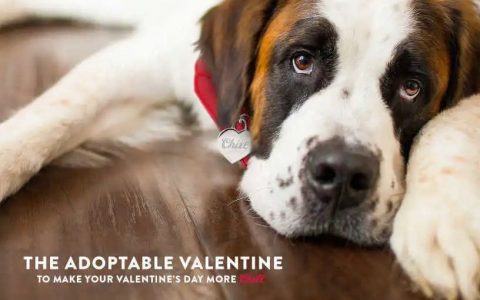 情人节反向营销：前任就应该被丢进垃圾桶