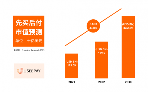 美国网购趋势曝光，先买后付再度走红