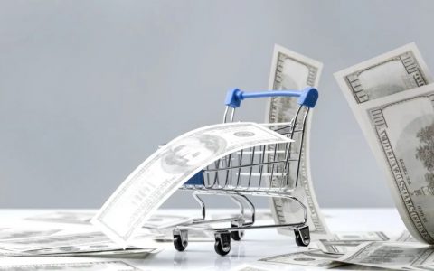 跳转式支付vs.内嵌式支付：对独立站转化率的影响