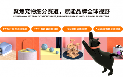 「它经济」出海战况升级，新入场玩家如何后来居上？