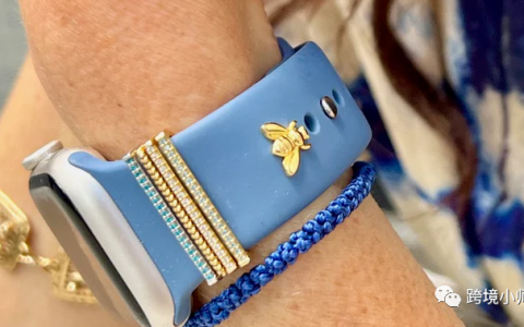 平台和独立站如何共赢 |小而美案例拆解