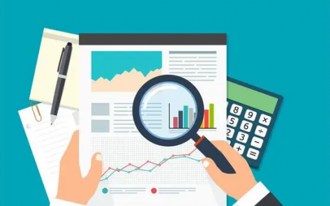 既是竞争对手，也是追赶标杆！从上市跨境大卖年报中发掘有价值的信息