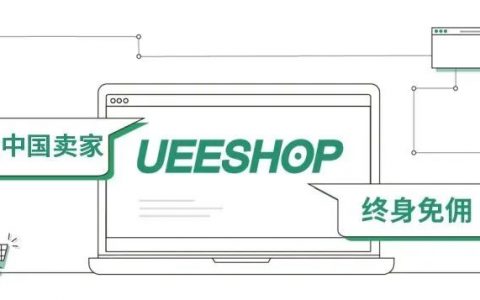 独立站优秀案例分析：低客单价品牌如何快速实现销量增长？