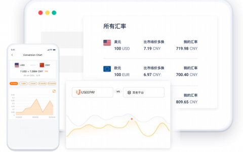 汇率波动无忧：UseePay在线实时汇兑，轻松做资金管理