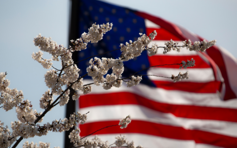 重磅发布！UseePay美国本地收款账户开放申请！