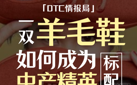 一双羊毛鞋如何成为中产精英的标配？