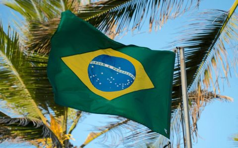 巴西市场开发“攻略”！
