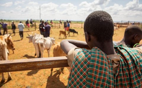 肯尼亚市场开发攻略！